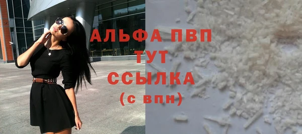 стафф Вяземский