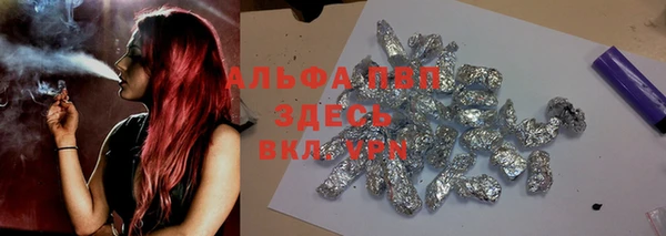стафф Вяземский