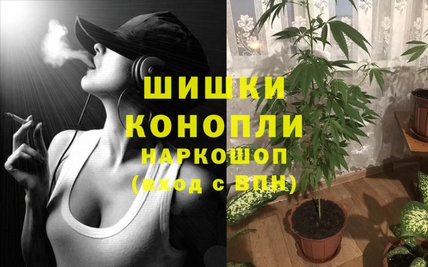 стафф Вяземский