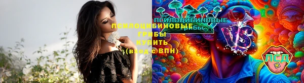 круглые Вязники