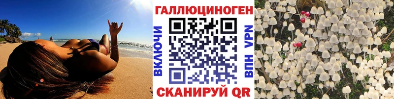Купить закладки  Соль-Илецк  Галлюциногенные грибы Cubensis 